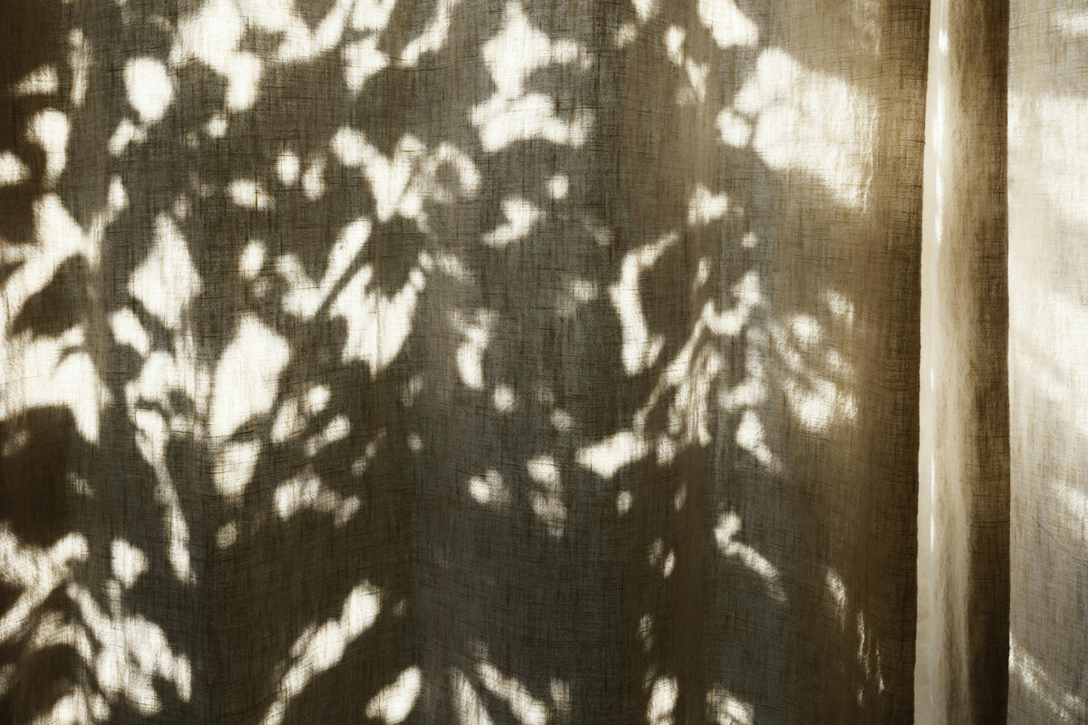 Soft daylight and leaf shadows falling across linen curtains.